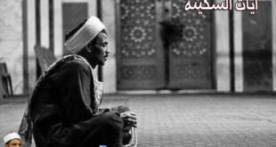 آيات السكينة