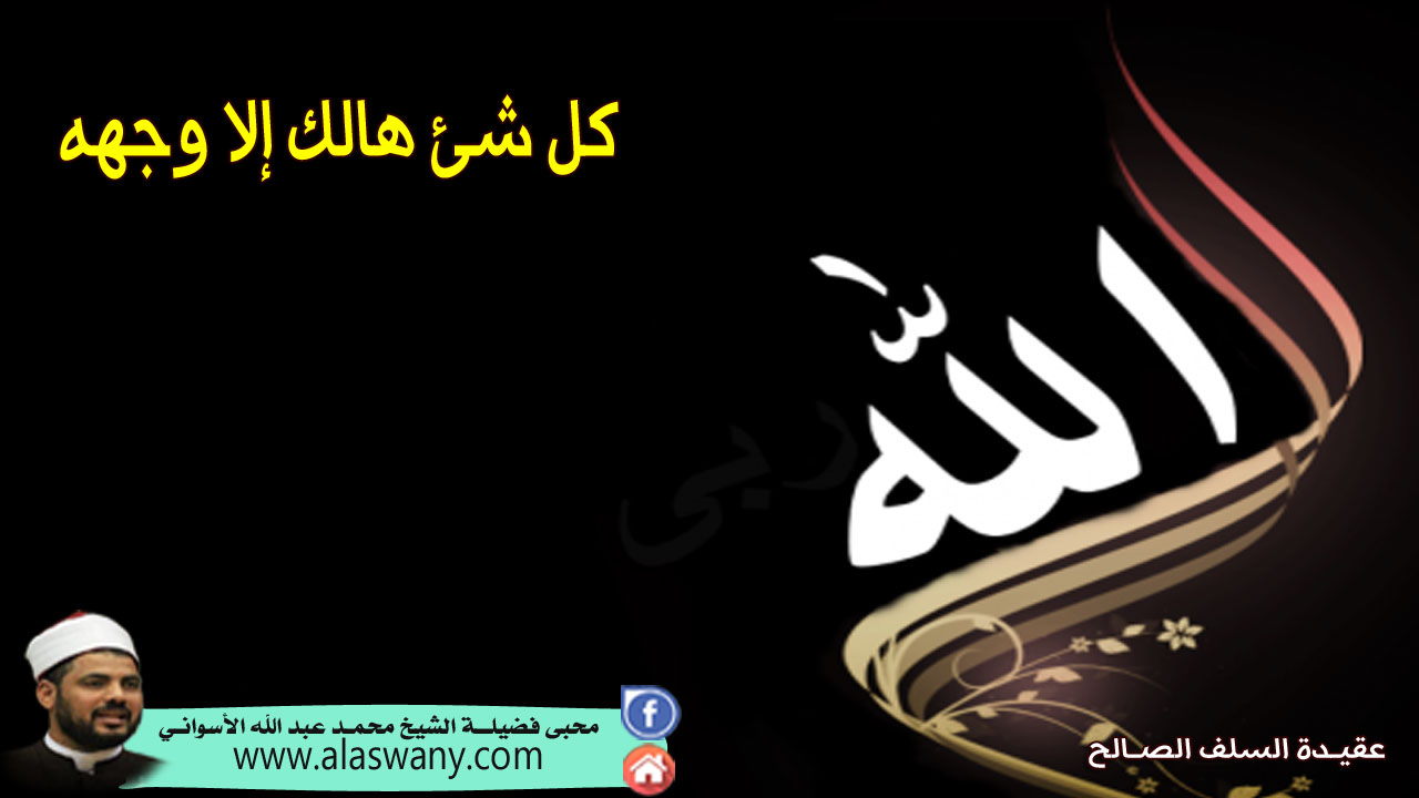 كل يوم هو فى شأن