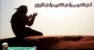 أهل النفوس وأهل القلوب وأهل الأرواح