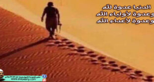 الدنيا عدوة لله وعدوة لأولياء الله وعدوة لأعداء الله