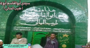 سيدى العارف بالله أبوالقاسم أبوعلى «طبيب المبالى»