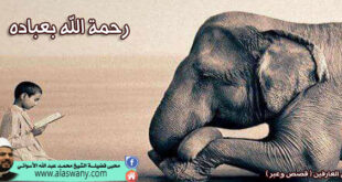 رحمة الله بعباده