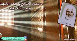 سيدى الشيخ محمد النبهان رضى الله عنه
