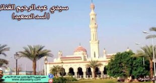 سيدي عبد الرحيم القنائي ( أسد الصعيد )