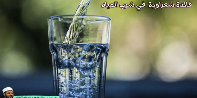 فائدة شعراوية في شرب المَيّة