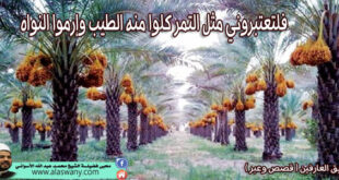 فلتعتبروني مثل التمر كلوا منه الطيب وإرموا النواه
