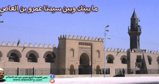 ما بينك وبين سيدنا عمرو بن العاص ؟