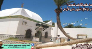 ما حكم القباب للميت ؟ وحكم ارتفاع القبور على الأرض ؟