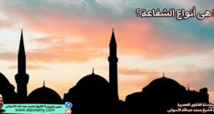 ما هى أنواع الشفاعة ؟