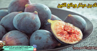 مالك بن دينار وبائع التين