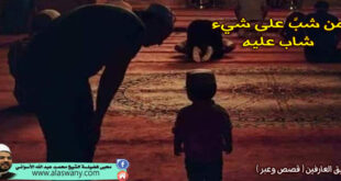 من شبَّ على شيء شاب عليه