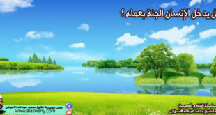 هل يدخل الإنسان الجنة بعمله ؟
