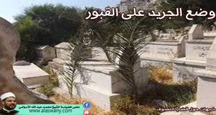 وضع الجريد على القبور