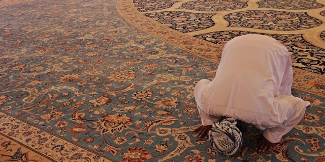 نصيحة الصالحين للسالكين والمريدين