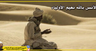 الأنس بالله نعيم الأولياء